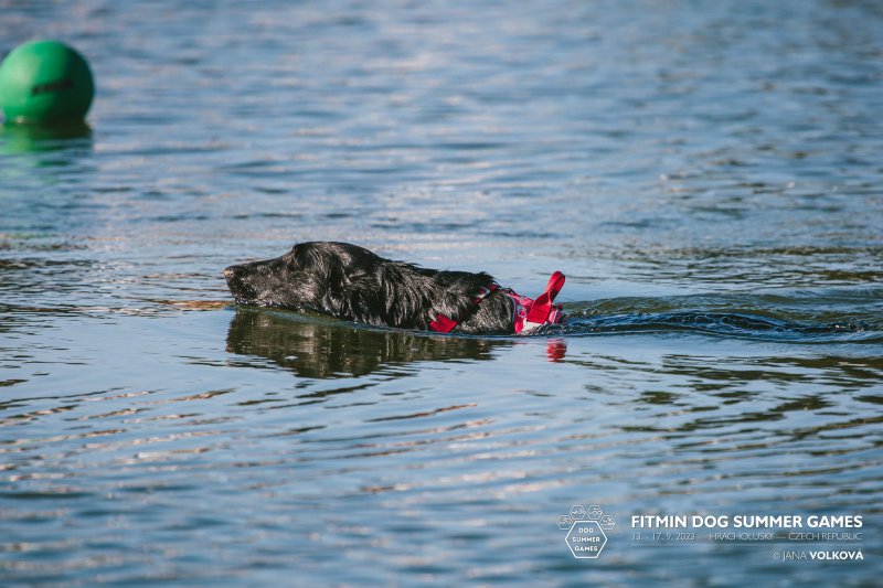 Fitmin Summer Dog Games Hracholusky